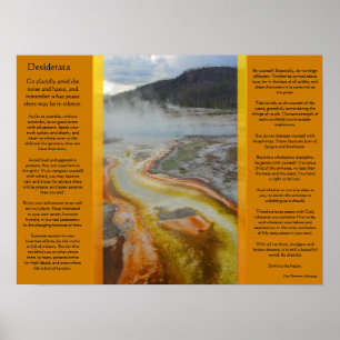 DESIDERATA-Posters voor thermische pools Poster