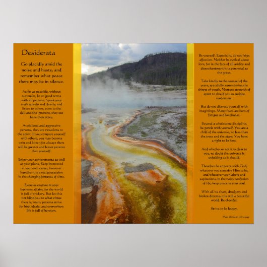 DESIDERATA-Posters voor thermische pools Poster (Voorkant)