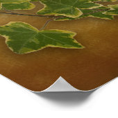 Desiderata prose Large ivy on parchment Poster (Hoek)