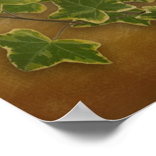 Desiderata prose Large ivy on parchment Poster (Hoek)