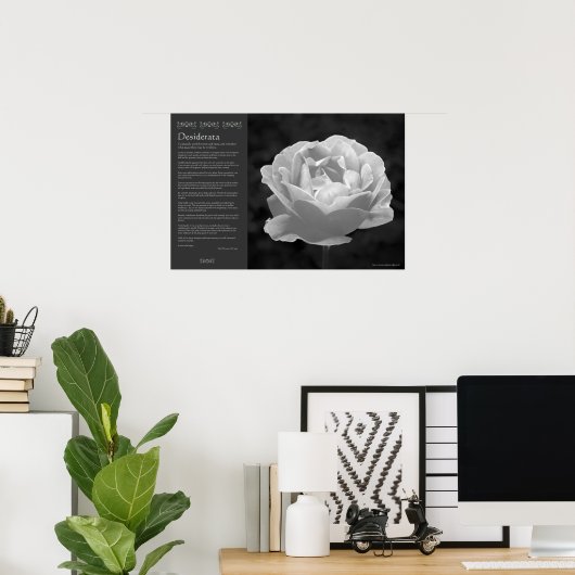 Desiderata - Roos in zwart-wit Poster (Thuiskantoor)