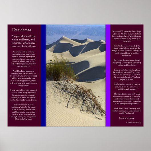 DESIDERATA Sand Dooms Posters (Voorkant)