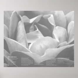 Desiderata - Satin Texture Roos in zwart-wit Poster