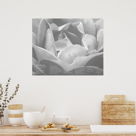 Desiderata - Satin Texture Roos in zwart-wit Poster (Keuken)
