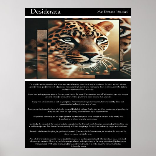 Desiderata: Schoonheid in stilte Poster (Voorkant)