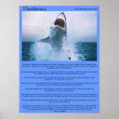 Desiderata Shark Jumping Posters (Voorkant)