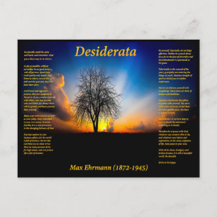 Desiderata silhouette van een wilde boom briefkaart