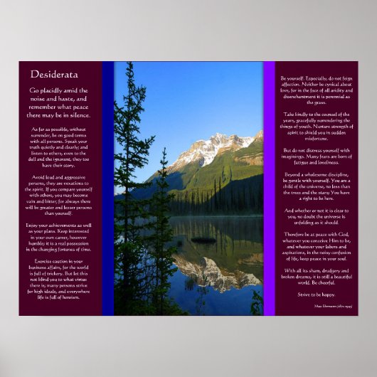 DESIDERATA Snow Peak Mountain-Posters Poster (Voorkant)