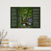 Desiderata - Spitchwick Creek Trees Poster (Keuken)