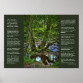 Desiderata - Spitchwick Creek Trees Poster (Voorkant)
