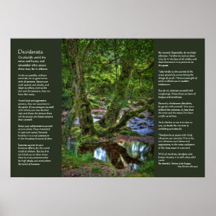 Desiderata - Spitchwick Creek Trees Poster