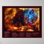 Desiderata - Stellar Nursery in Tarantula Nebula Poster (Voorkant)