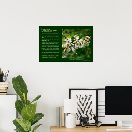 Desiderata - Sun-Dapped Spring Hawthorn Poster (Thuiskantoor)