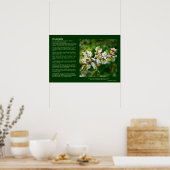 Desiderata - Sun-Dapped Spring Hawthorn Poster (Keuken)