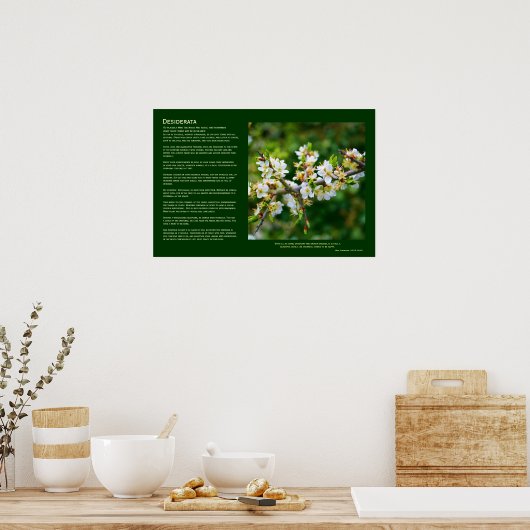 Desiderata - Sun-Dapped Spring Hawthorn Poster (Keuken)
