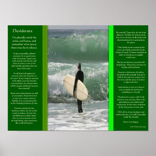 DESIDERATA-surfen op de Posters van de golf (Voorkant)