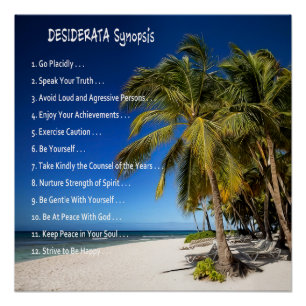 DESIDERATA Synopsis - Lounge under the Palms Perfect Poster