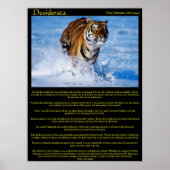 Desiderata Tiger in water Posters (Voorkant)