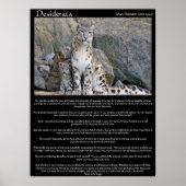 Desiderata twee kazen in de berg poster (Voorkant)