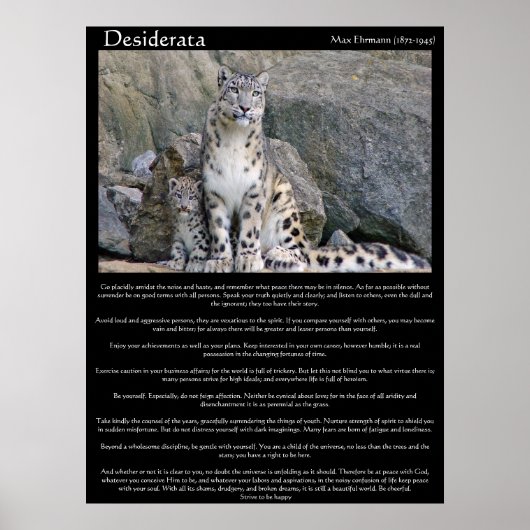 Desiderata twee kazen in de berg poster (Voorkant)