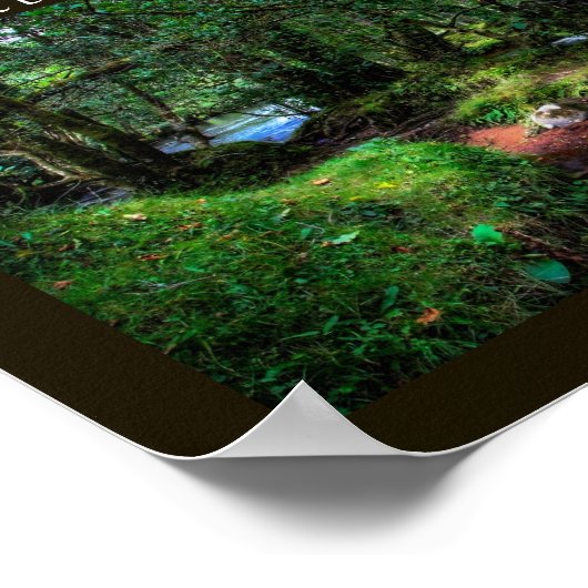 Desiderata - Verborgen hoogten van sprookje Dartmo Poster (Hoek)