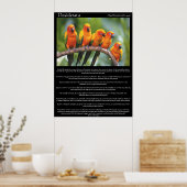 Desiderata vijf oranje en groene kanarie poster (Keuken)