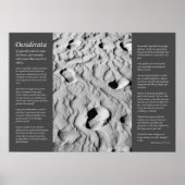 Desiderata - voetafdrukken in zand poster (Voorkant)