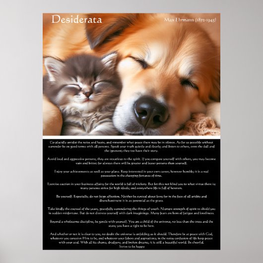 Desiderata Vreedzaam gezelschap: kitten en hond Poster (Voorkant)