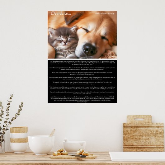 Desiderata Vreedzaam gezelschap: kitten en hond Poster (Keuken)