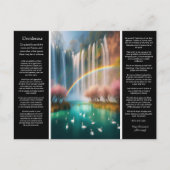 Desiderata Waterval: de genade van de regenboog ov Briefkaart (Voorkant)