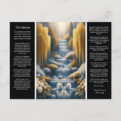 Desiderata Waterval: het hart van de zwaan, de gen Briefkaart (Voorkant)