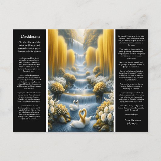Desiderata Waterval: Omarm, oprechte vereniging Briefkaart (Voorkant)