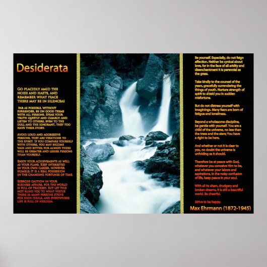 DESIDERATA Waterval Oranje Posters 11 (Voorkant)