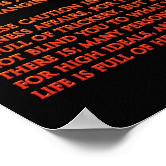 DESIDERATA Waterval Oranje Posters 8 (Hoek)