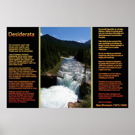 DESIDERATA Waterval Oranje Posters 8 (Voorkant)