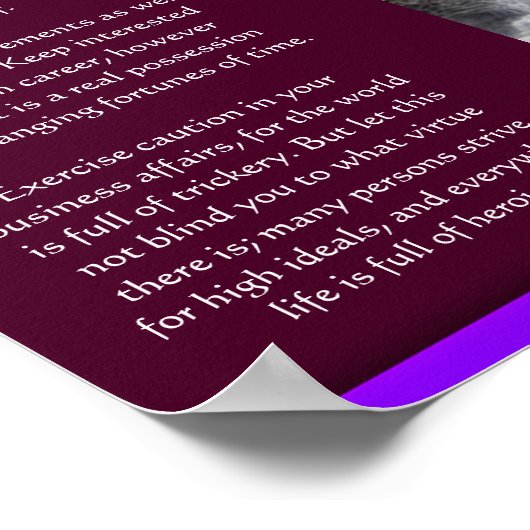 DESIDERATA Waterval Posters 13 (Hoek)