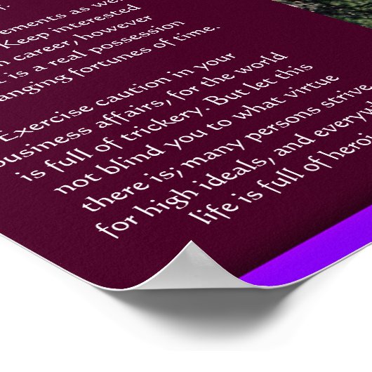 DESIDERATA Waterval Posters 2 (Hoek)