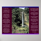 DESIDERATA Waterval Posters 6 (Voorkant)