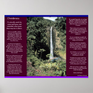 DESIDERATA Waterval Posters 6
