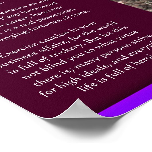 DESIDERATA Waterval Posters 6 (Hoek)