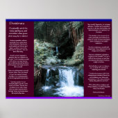 DESIDERATA Waterval Posters 7 (Voorkant)