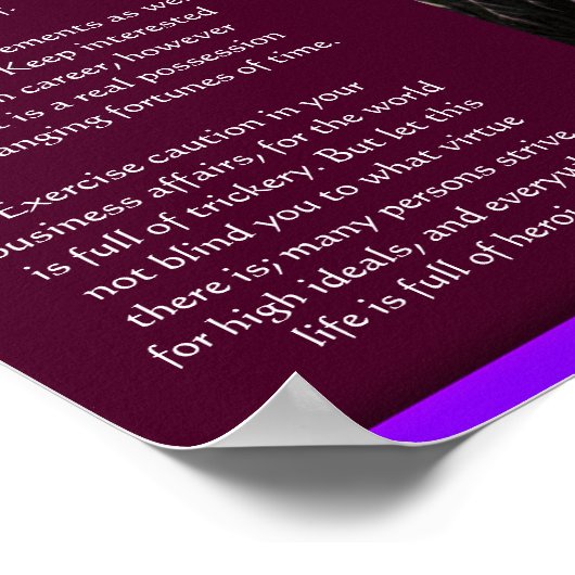 DESIDERATA Waterval Posters 7 (Hoek)