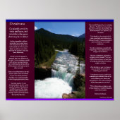DESIDERATA Waterval Posters 8 (Voorkant)