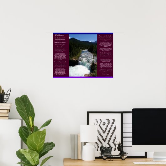 DESIDERATA Waterval Posters 8 (Thuiskantoor)
