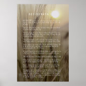 DESIDERATA Wheat Field Poster (Voorkant)