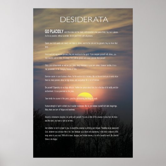 DESIDERATA Winter Sun Poster (Voorkant)