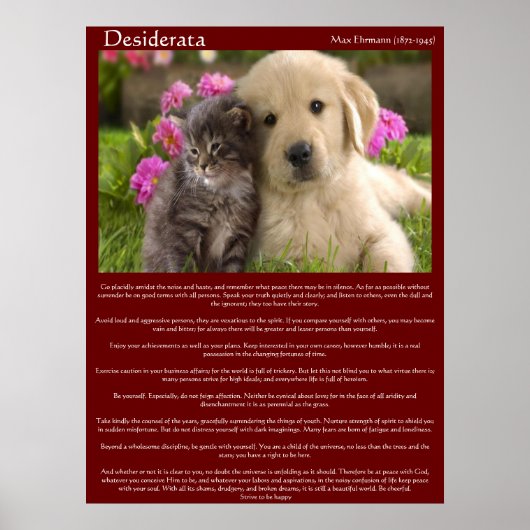Desiderata Young Love Fight Posters (Voorkant)