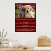 Desiderata Young Love Fight Posters (Keuken)