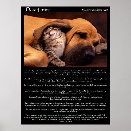 Desiderata Young Love Posters 2 (Voorkant)