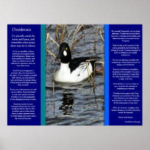 DESIDERATA Zoekend Duck Posters 2